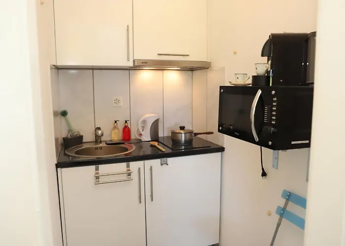 Rosablanche D26 By Interhome Siviez